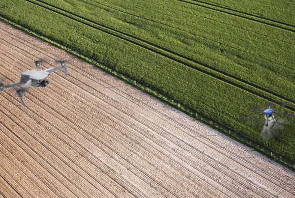 Drone multirotor DJI Air2S realizando o mapeamento aéreo de uma lavoura enquanto um drone agrícola pulverizador aplica insumos na plantação