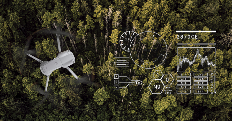 Inventário Florestal: Como Coletar Dados Precisos com Agilidade?